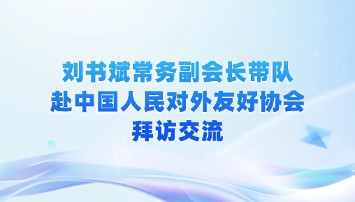刘书斌常务副会长带队赴中国人民对外友好协会拜访交流